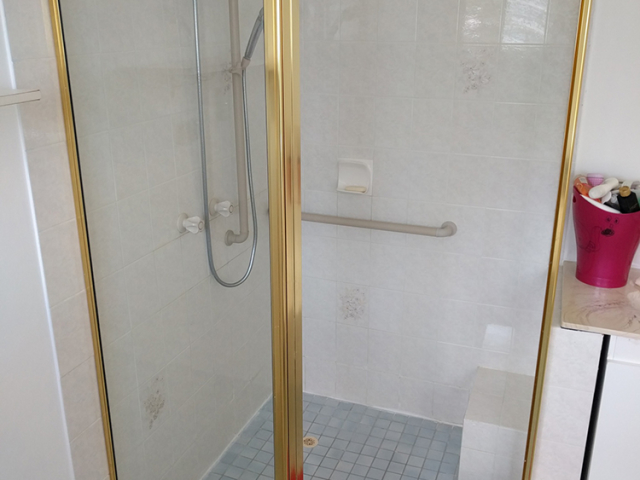 Gold fully framed shower