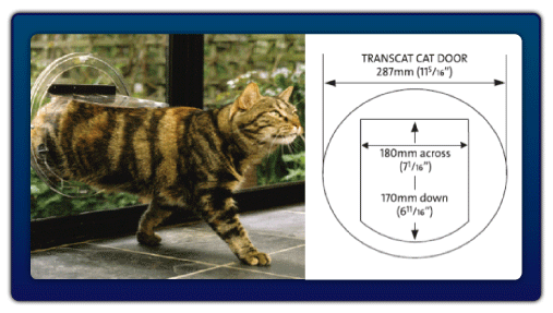 Transcat With Sizes Pics
