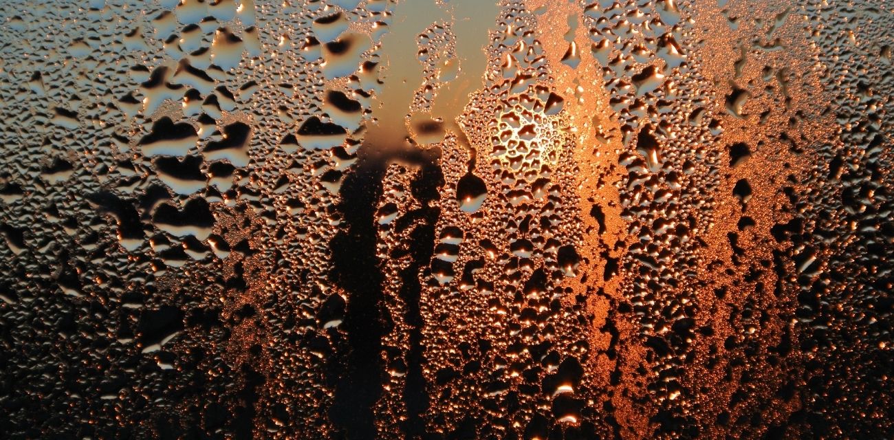 What are the different types of window condensation? True Blue Glass