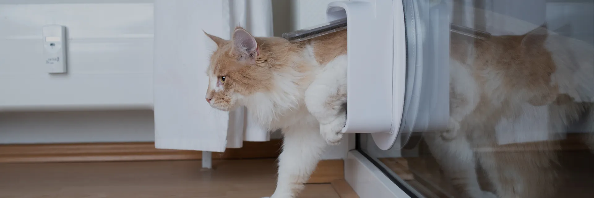 Glazier online cat flap